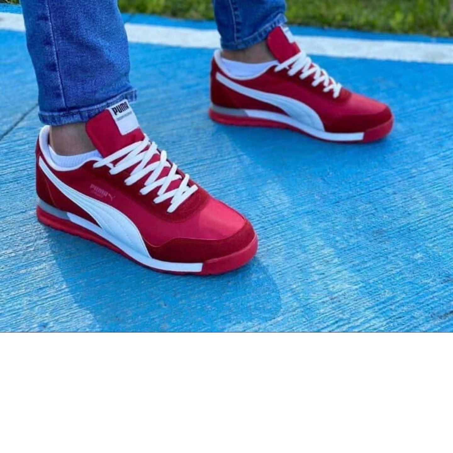 Puma 