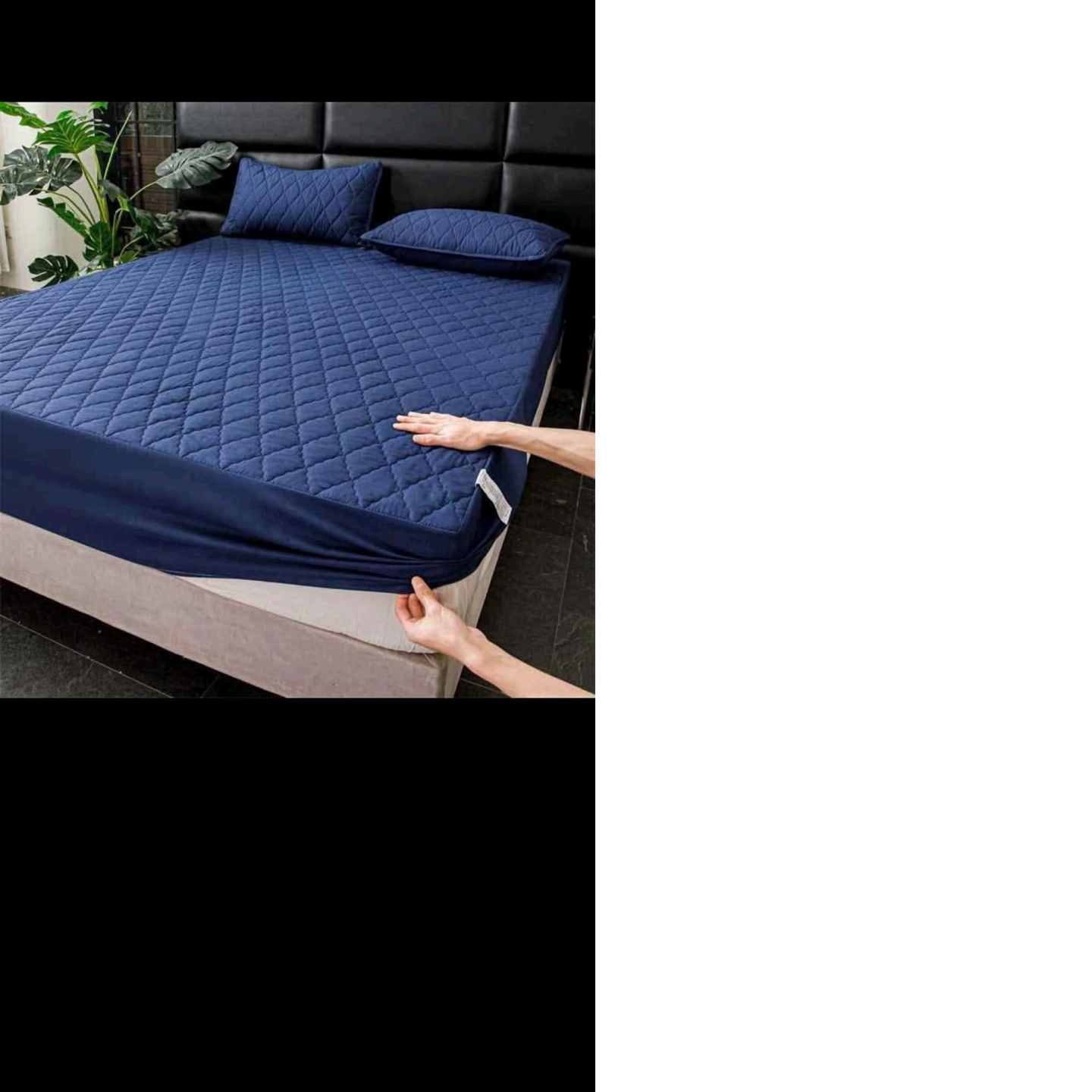 Draps 