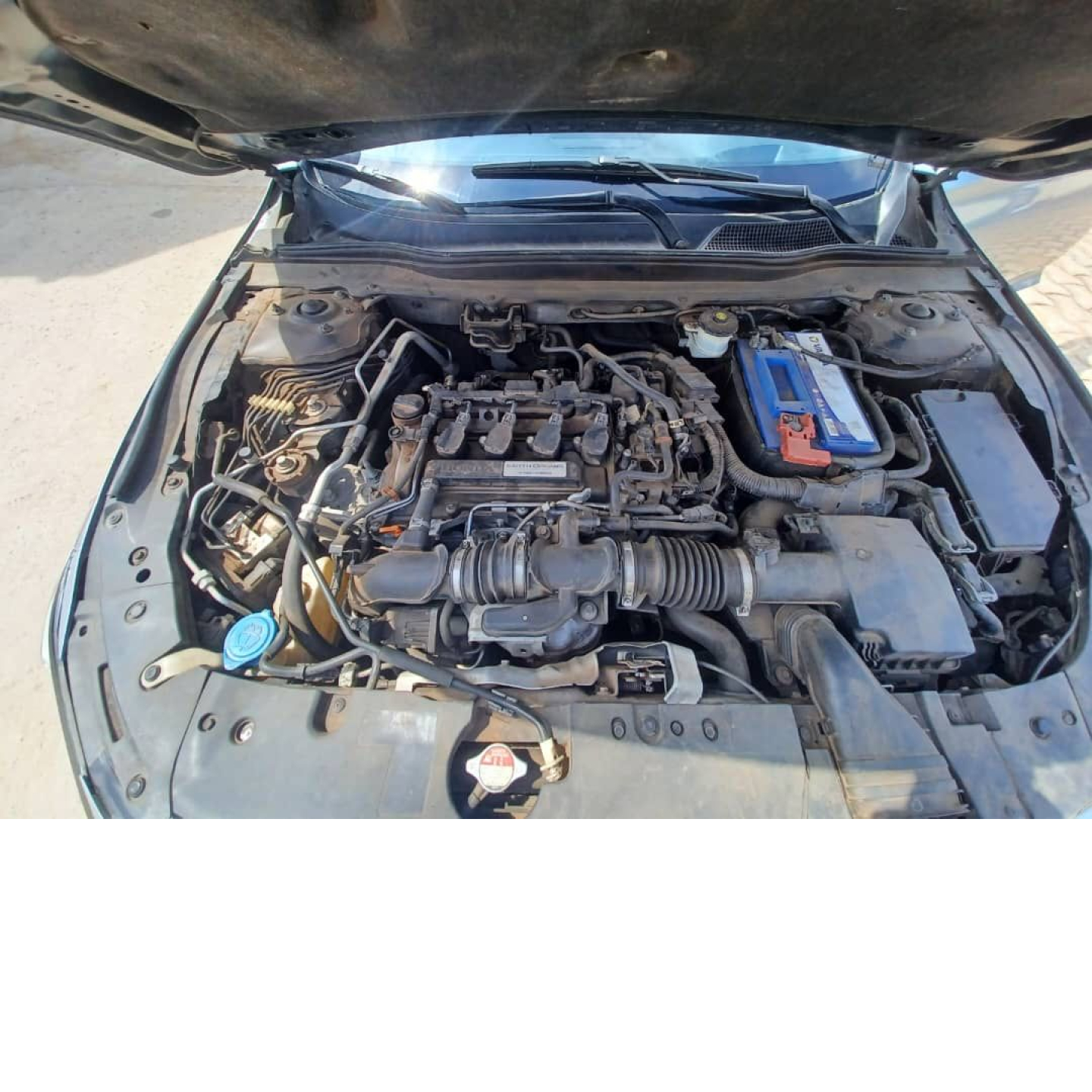 Honda accord 2023