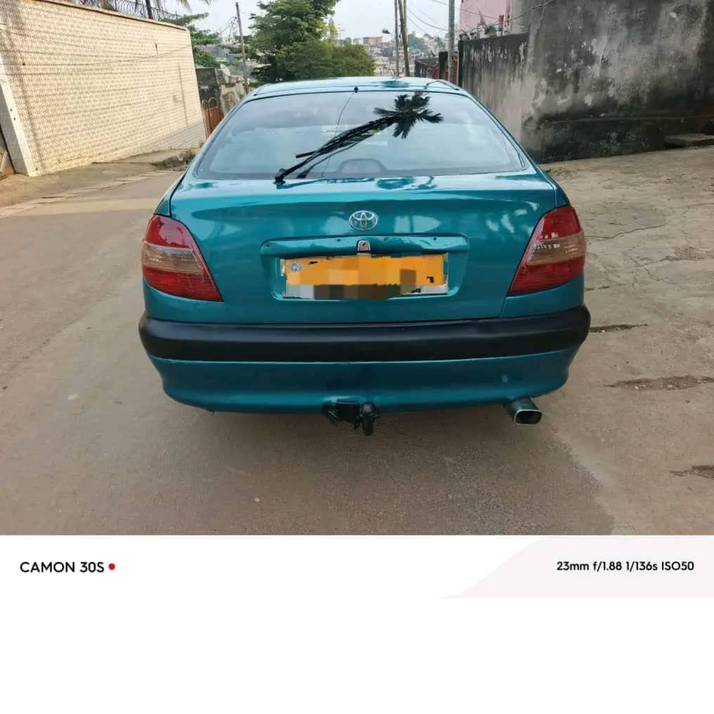 Avensis leafback